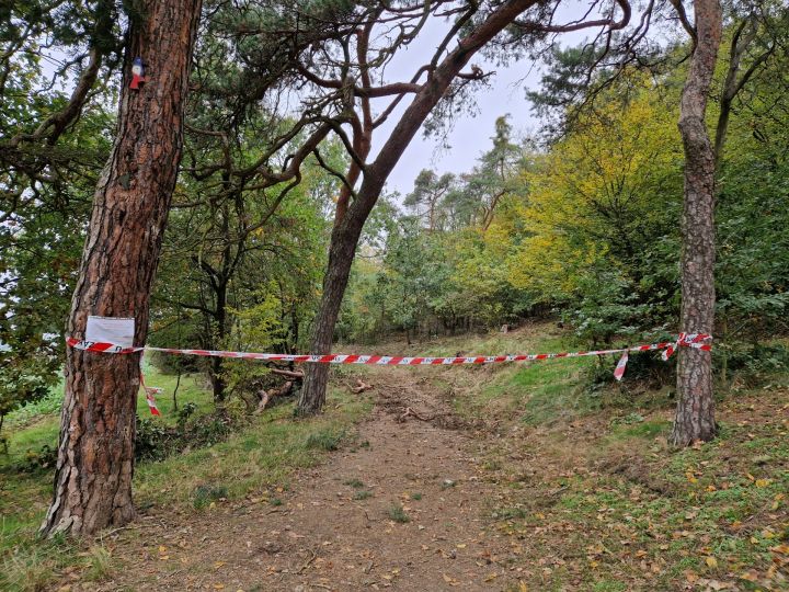 20241018_134707 20241018_134707