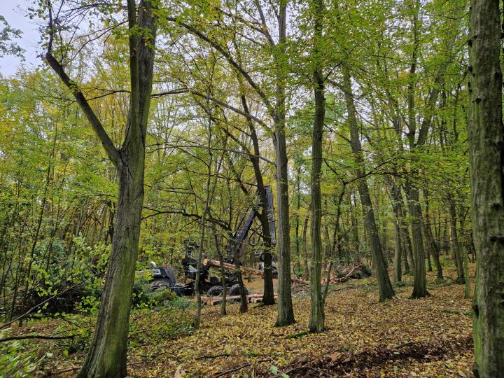 20241018_135839 20241018_135839