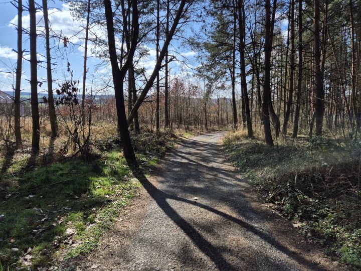 20260327_pecihradek_levy_breh_berounky (26)