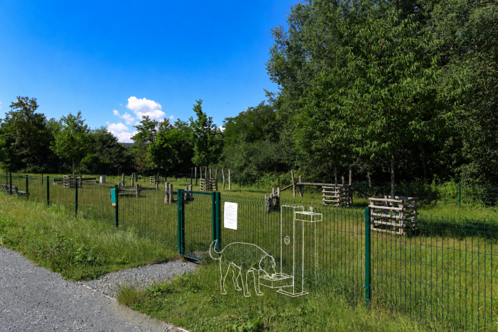 6. pítko