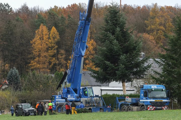 F_0060_C03_5962 F_0060_C03_5962