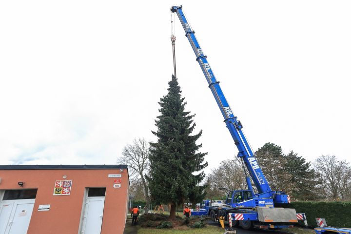 F_AET_3617_a F_AET_3617_a