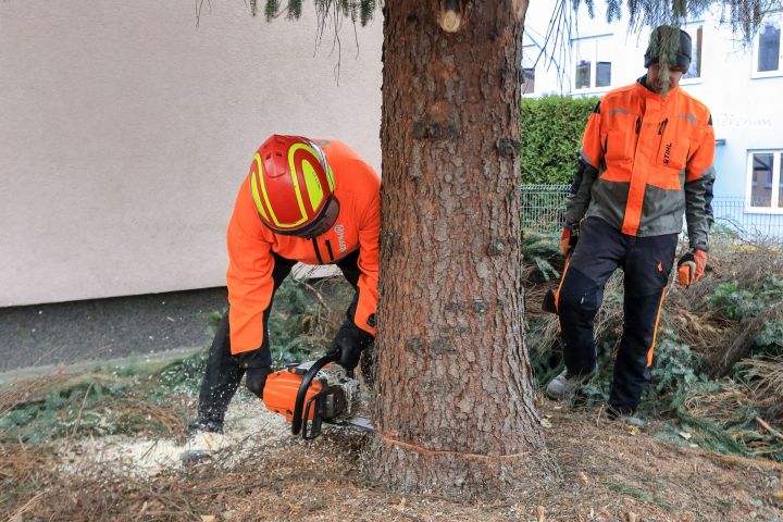 F_AET_3635 F_AET_3635