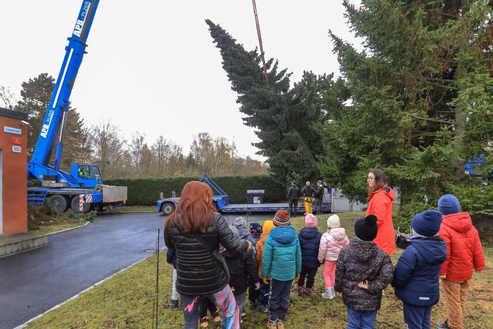 F_AET_3889 F_AET_3889