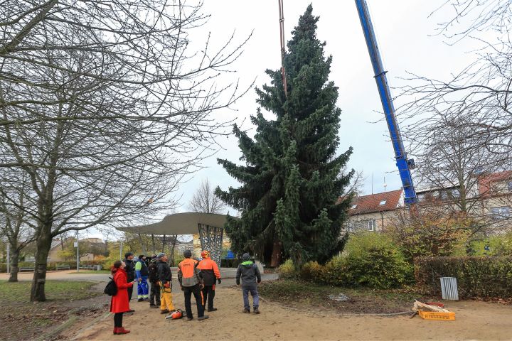 F_AET_4010 F_AET_4010