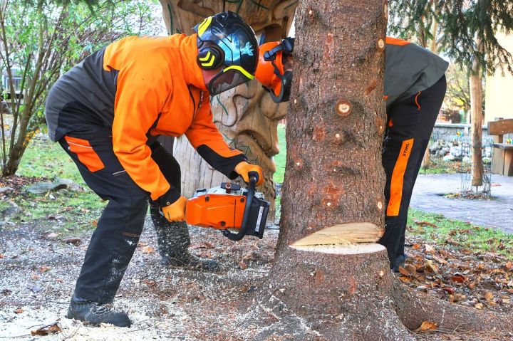 IMG-20251118-WA0010 IMG-20251118-WA0010