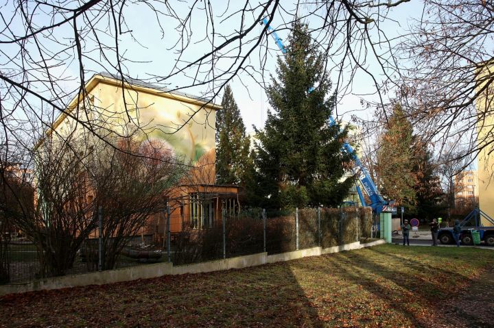 IMG-20251118-WA0011 IMG-20251118-WA0011