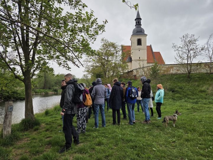 procházka procházka